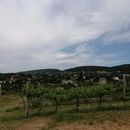 Tatil Evi Julianna Nyaralo *