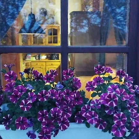 Julianna Nyaralo Tatil Evi Csopak