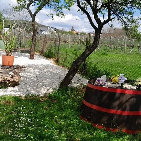 Tatil Evi Julianna Nyaralo Csopak