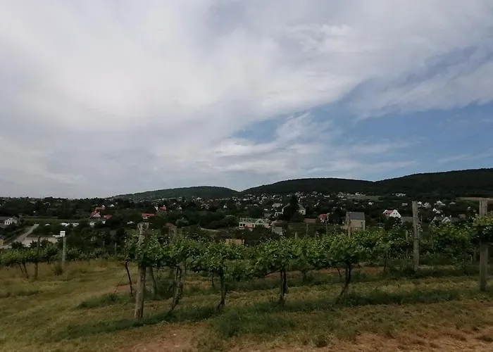 Ferienhaus Julianna Nyaralo *